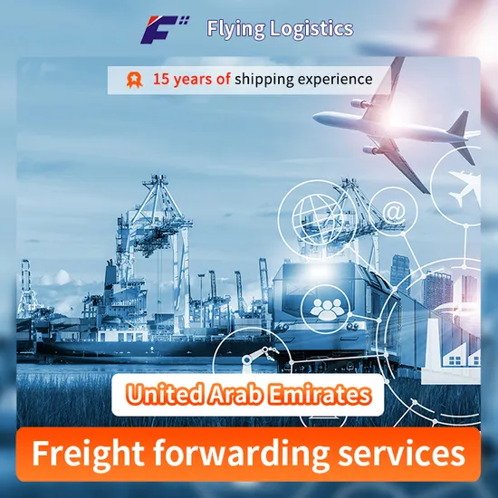 Sea Shipping Freight Forwarder Amazon Fba DDP Dropshipping Companies Service to United Arab Emirates