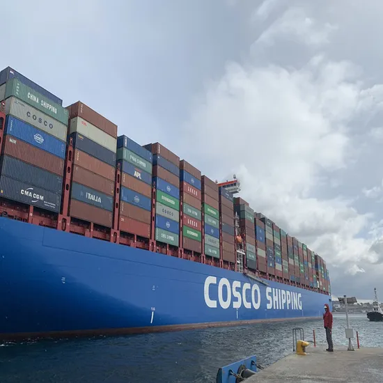 Professional DDP DDU Sea Freight Forwarder From China to Japan