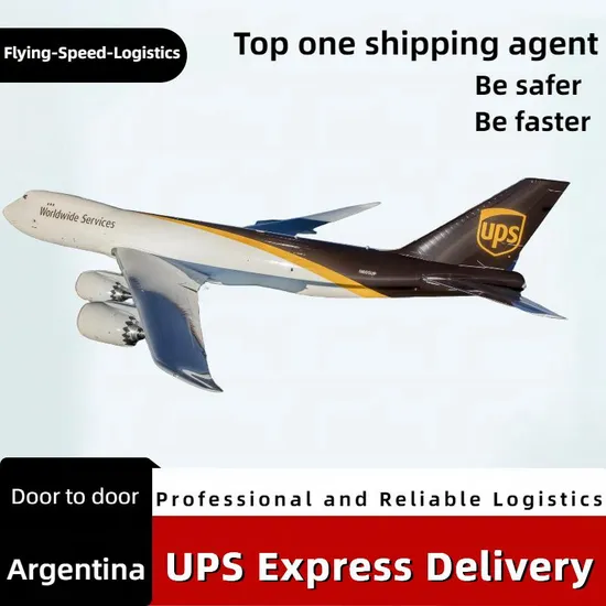 DDU UPS Freight Shipping Agent Shipping Cargo to Argentina Freight Forwarder