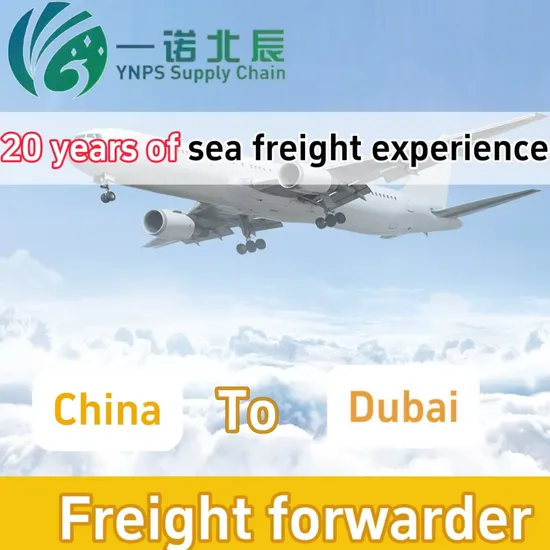 Professional Shipping Services Including UPS, DHL, FedEx, and TNT From Shenzhen to Cote d′Ivoire/Dubai Services Solar Panel