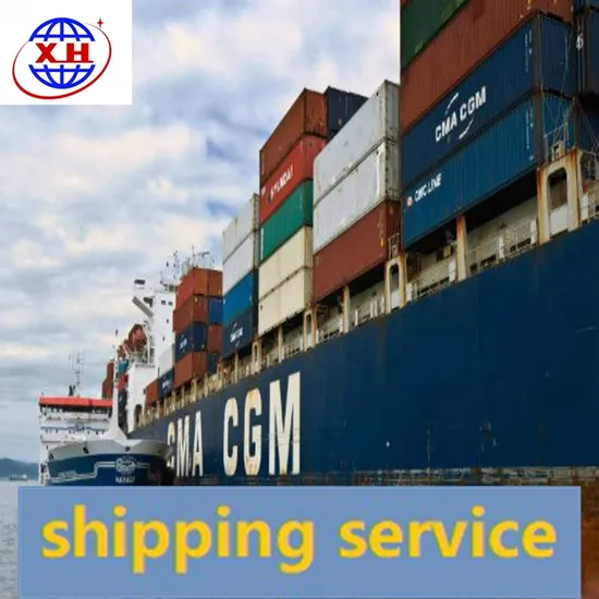 Professional Sea Freight Forwarder Shipping Agent From China to USA Logistic Service