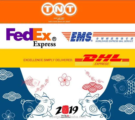 Shipping From China to Philippines/Vietnam/Laos/Cambodia/Myanmar by Express Courier Service