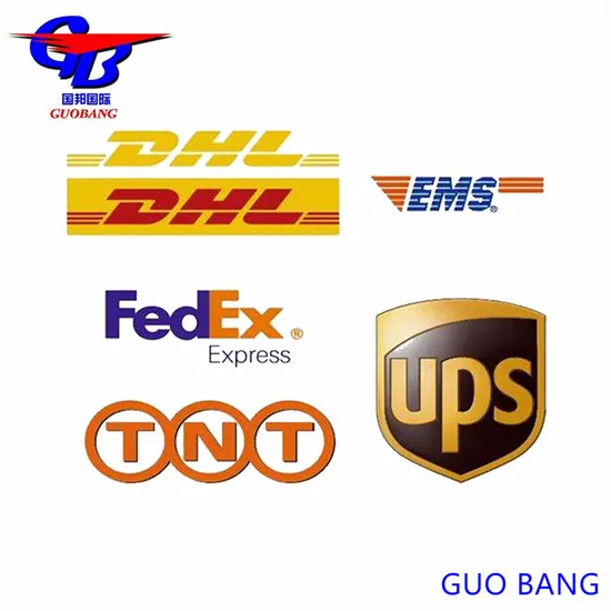 Express Delivery From China to France