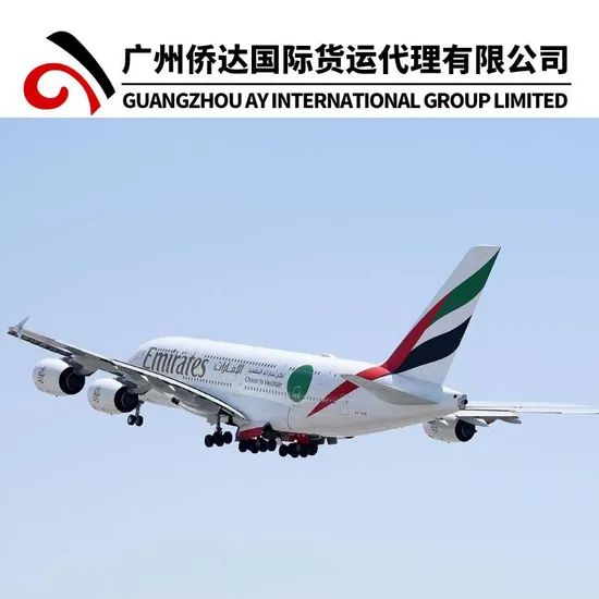 China Air Freight to Cameroon/Chad/Central Africa by DHL/UPS/FedEx/TNT/EMS/Sf/1688 Express Delivery