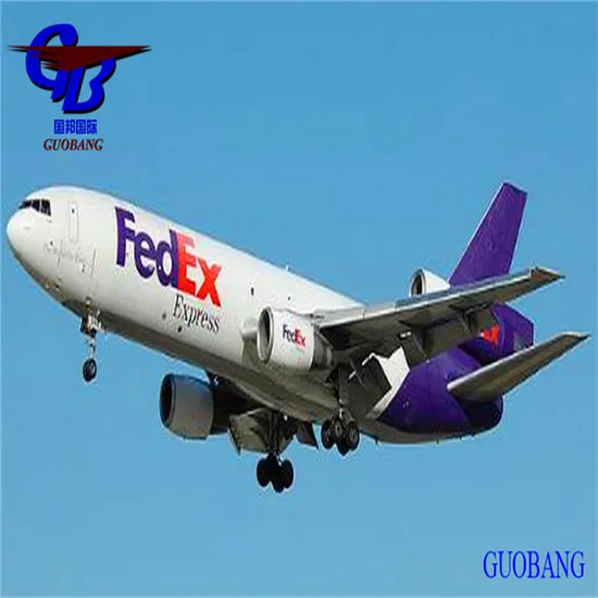 Express Service From Shenzhen to Jeddah by TNT