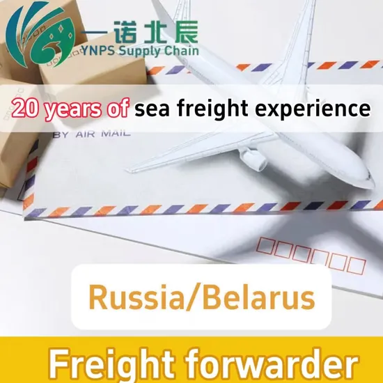 Professional Transportation Team for China to Russia/Belarus International Logistics, UPS, DHL, FedEx, TNT Door-to-Door Service