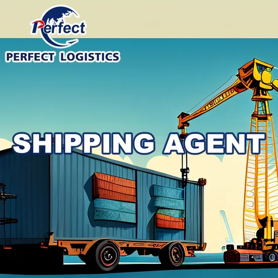 Reliable and Professional EXW, Fob, CIF, DDU, DDP DAP International Shipping Agent From China to Us