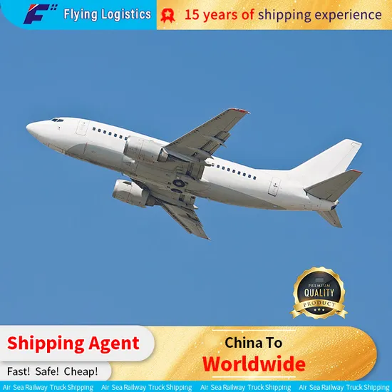 Freight Forwarder/Drop Shipping/Sea Shipping/Air Shipping/Express From China to Worldwide