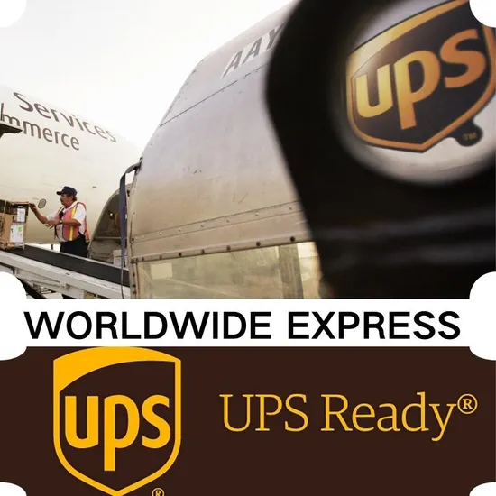 International Express Transportation Services From China to All Over The World, DHL, UPS, FedEx and Other International Couriers