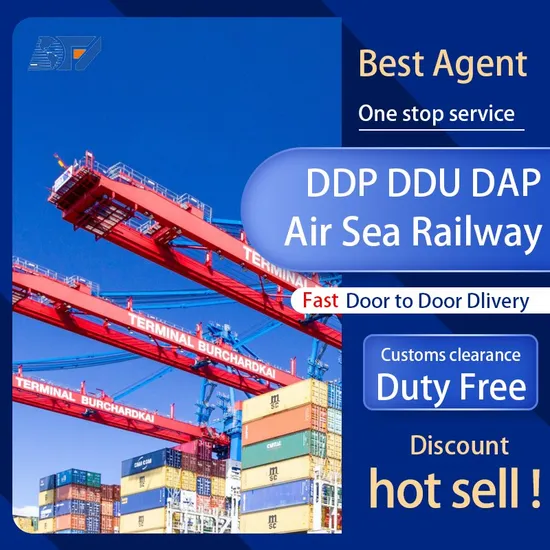 Professional Truck DDU/DDP Service Delivery Road Freight Forwarder From China to France
