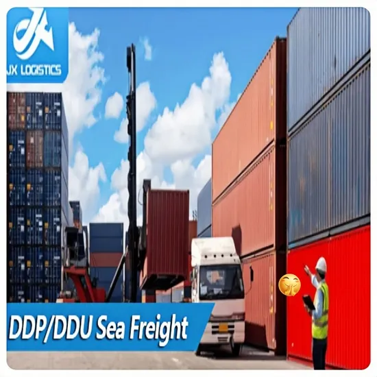 International Combined Transport DDP/DDU/CIF Shipping with Attentive Service