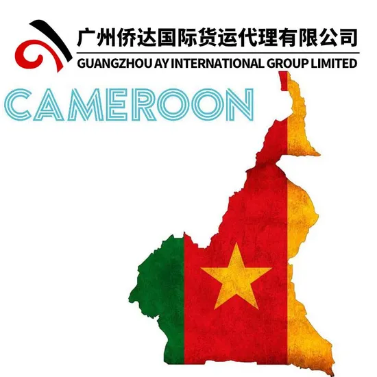 Door to Door Logistics to Cameroon From Guangzhou Container Shipping to Douala Warehouse by Sea and Air