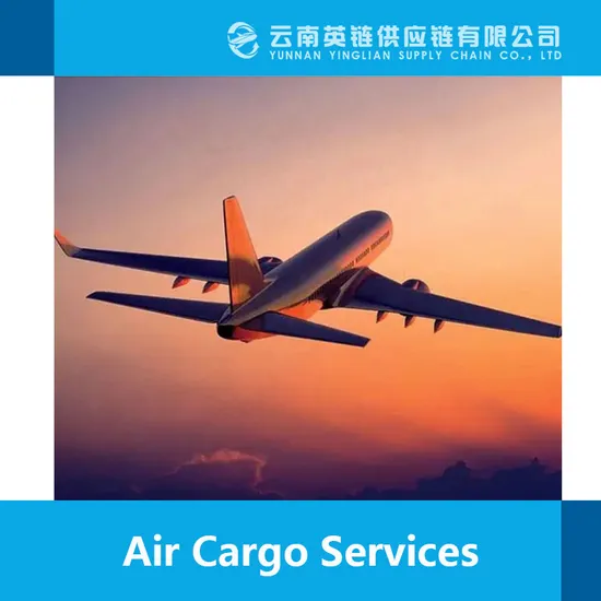 Inspection Service UK DDP Shipping Costs Belgium Bulgaria USA UK Logistics Dropshipping Agent Service Fba Sea Air Freight Rates