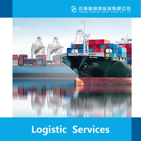 Inspection Service Consolidator Shipping to Bolivia/Bosnia/Casablanca/Morocco/Chicago/Conakry/Guinea China Shipping Mexico
