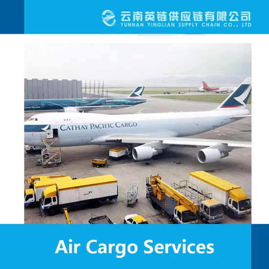 Inspection Service Agent Paypal Reliable Tracking Number Door to Door Shipping Way to Russia/Uzbekistan/Kazakhstan