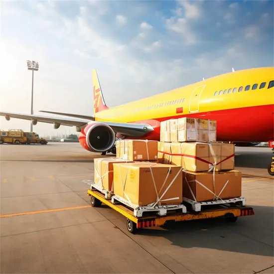 China Forwarder with Customs Broker Service or Import Export Customs Clearance Services