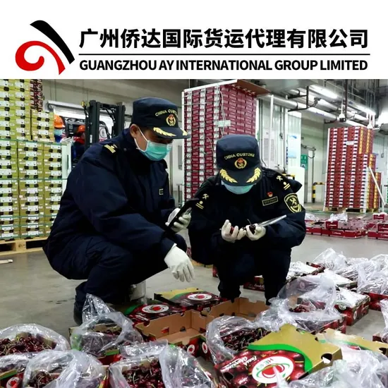 China Shipping Importer to China Customs Clearance Services by Courier Delivery Services