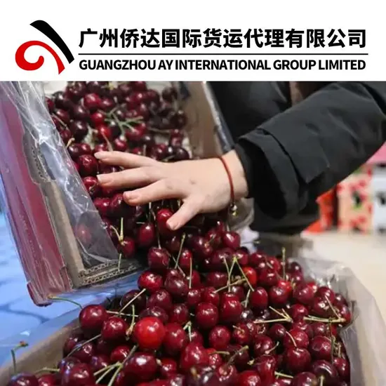 Professional China Customs Clearance Service for Peru Cherry in Shanghai/Guangzhou