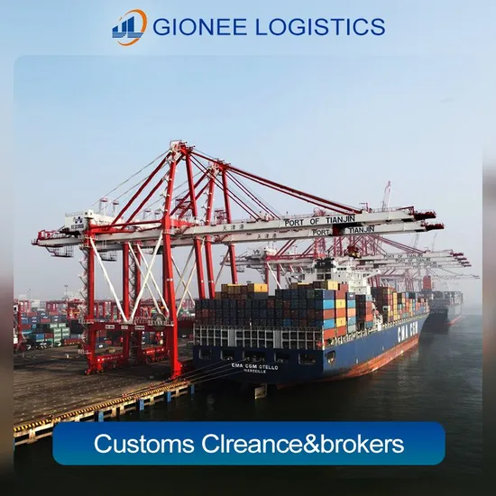 Shipping Fba Products Shandong Import and Export Trade Cargo Shipping DHL Customs Clearance Germany