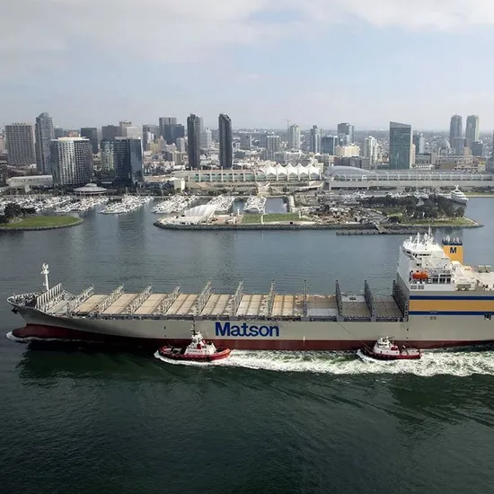 China to Duisburg Sea Port, DDU/DDP Terms Rijeka Shipping Fee/Sea Freight/Freig