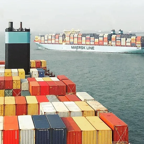 China to Japan Labeling Service Shipping Service Freight Forwarder Amazon Fba