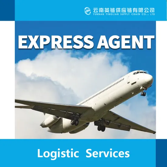 Door to Door Custom Duties Taxes Inclusive to USA/Canada/Mexico International Quality Inspection Express Fba Warehouse Service