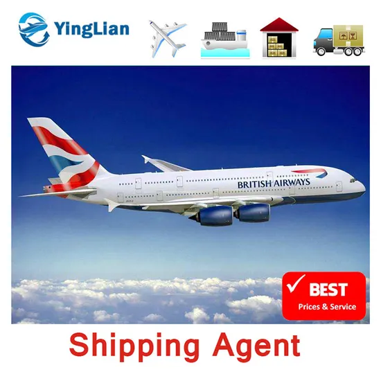 Shipping Freight From China to USA/Canada/Australia/Europe Purchase Products Delivery Custom Clearance Warehouse Directly