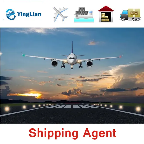Fba Warehouse Air UPS Shipping Rates From China to USA/Canada/Australia Dropshipping Logistics Company in Shenzhen