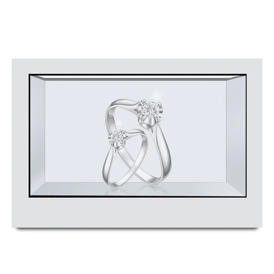Advertising Equipment 43 Inch Touch Screen Monitor Digital Signage Advertising Transparent LCD Display