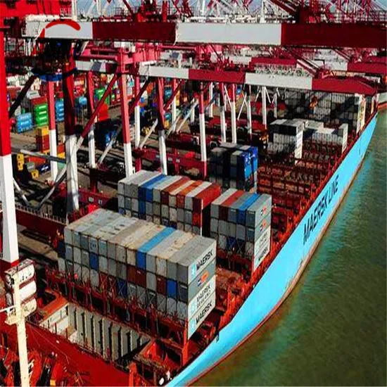 China Freight Forwarder From Shenzhen/Shanghai/Ningbo to Europe Portugal/Belgium/Germany Logistics Agent Service