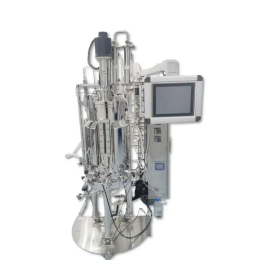 High Capacity Fermentation Tank for Food & Beverage Shops