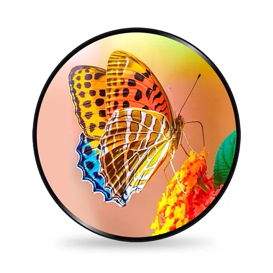 The Smallest TFT Display Screen for Watches