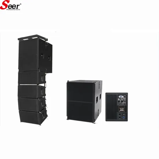 Single 10 Inch Stage Professional Audio Active Amplifier Line Array PA System