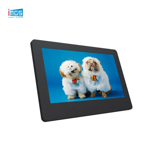 21.5 Inch Electronic Pictures Video Music Calendar Frame Digital Photo Frame