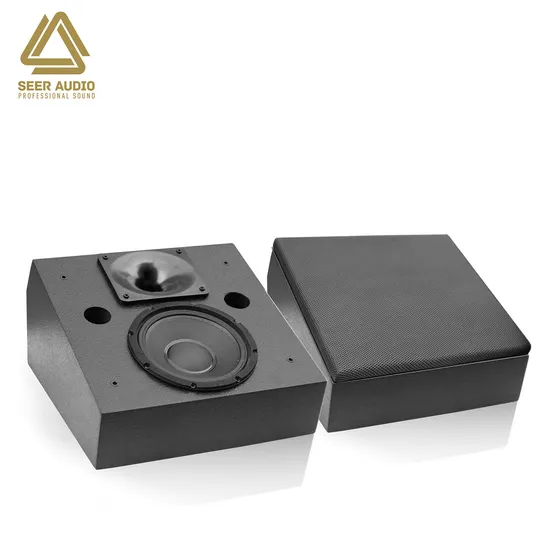 Seer Audio Home Cinema Speaker High Output 10-Inch Loudspeaker Active Line Array Speaker