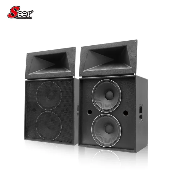 Seer Audio Td-215 Dual 15inch Speaker Theatre System Home Cinema System Active Line Array