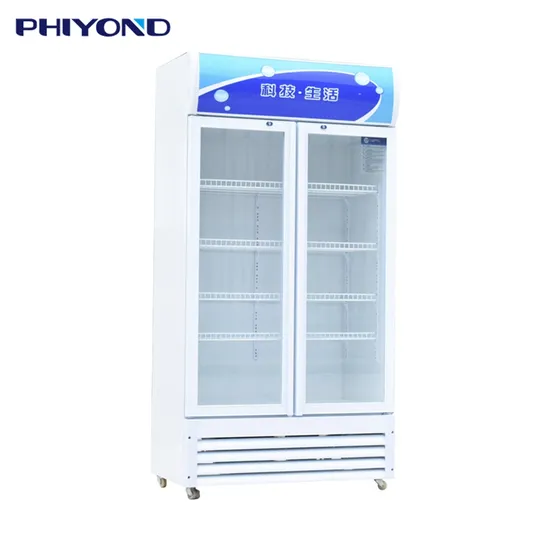 Phiyond Pjyl-1000 512L Double Glass Door Upright Beverage Display Freezer Beverage Cooler Beer Fridge