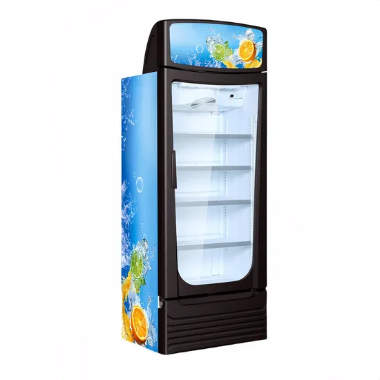 Display Chiller Glass Door Refrigerator Commercial Vertical Ice Cream Bakery Water CE Frozen Food Vertical Showcase Upright Double Door Freezer for Supermarket