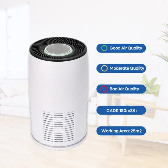 Wholesale Home Air Purifier Anion HEPA Filter Air Purifier