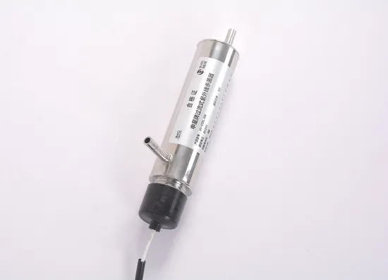 304ss CE Approval 24V UV-5W 1L/M UV Lamp Sterilizer for Water Treatment System