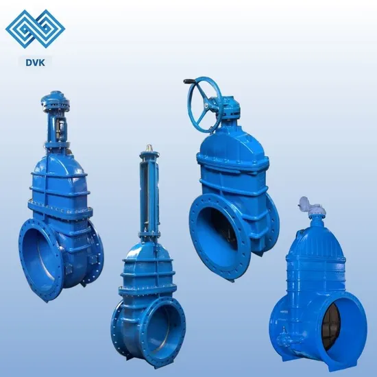 ODM Ductile Iron/Stainless Steel API/ANSI/DIN/JIS/ASME Standard Double Flanged/Wafer/Lugged Type Control/Globe/Ball/Check/Butterfly/Gate Valve