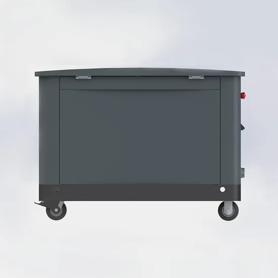 Dual Fuel Generators Natural Gas Generators for Sale 20kw Gasoline Generator