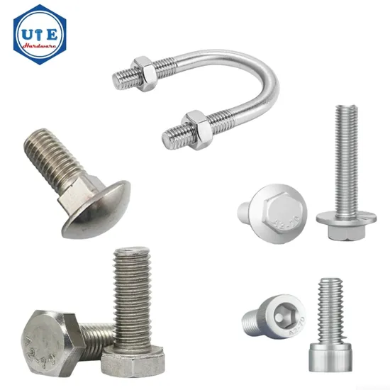 Stainless Steel China Fasteners Nuts and Bolts/Hexagonal Bolts and Nuts/DIN/Unc Carriage Bolt/U Bolt/ Hex Flange Bolt/Anchor Bolt /Eye Bolt/Stud Bolts with Nut
