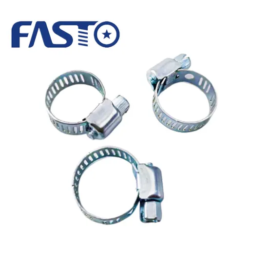 Stainless Steel 304 9mm 12mm Car Hose Clamp