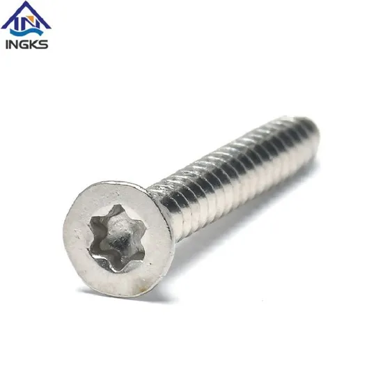 Stainless Steel 304 316 Csk Torx Head Security Screws Self Tapping Screws