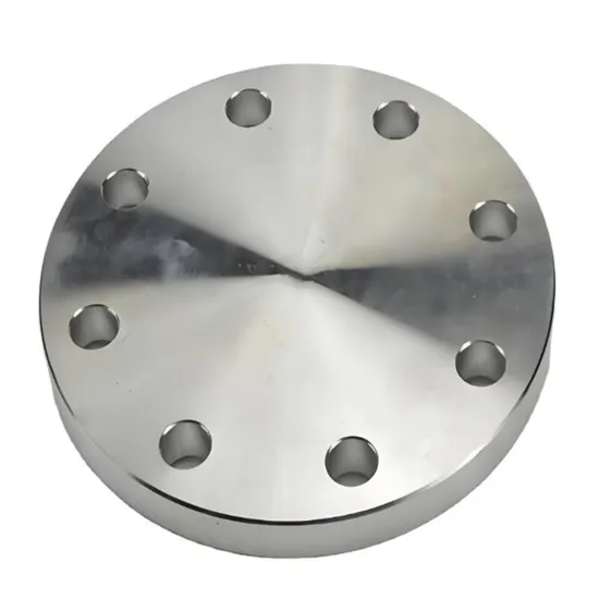 China Manufacturers Customized Flange Cover Stainless Steel Blind Flange Xxnx 316 Alloy Forged Flange
