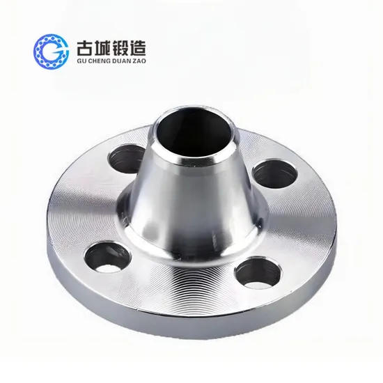 Customized Forged Ss Wn Flanges Stainless Steel Welding Neck Flange