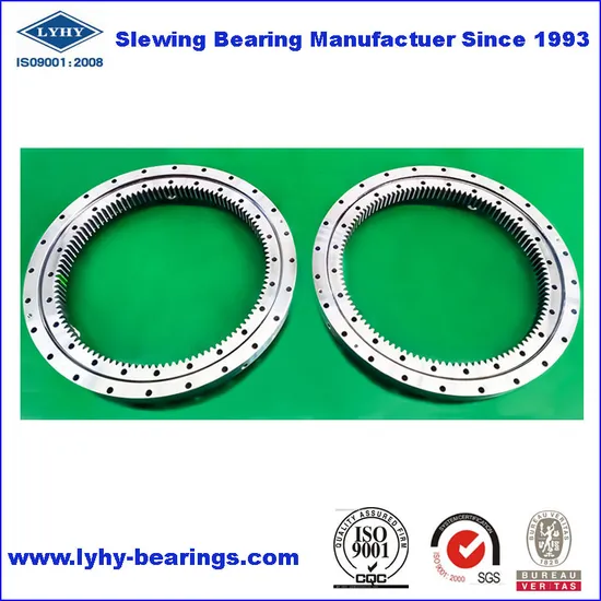 Small Size Slewing Ring Bearing for Truck Mounted Crane