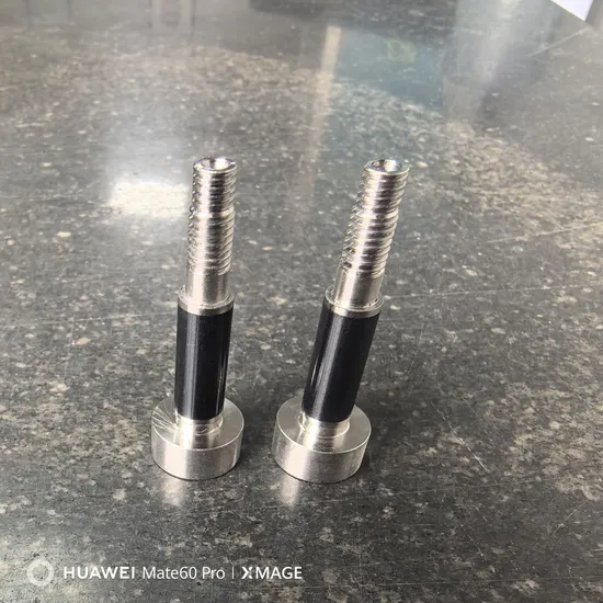 Zirconia Ceramics Plunger for Enhanced Durability in Spraying Equipment