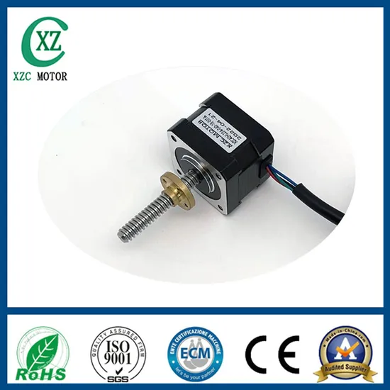 High Torque Electric Permanent Magnet Screw Professional Stepping Geare Synchronous Motor